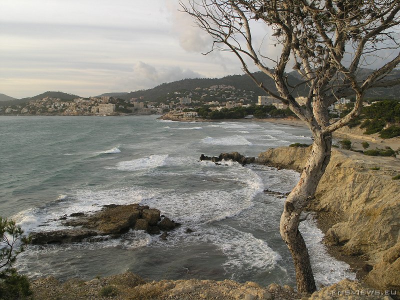 2006_11_22 16_52_46 OLYMPUS DIGITAL CAMERA         